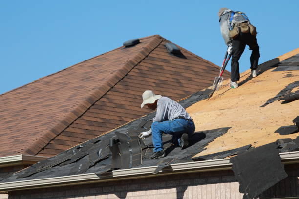 Best Asphalt Shingles Roofing  in Campbelltown, PA